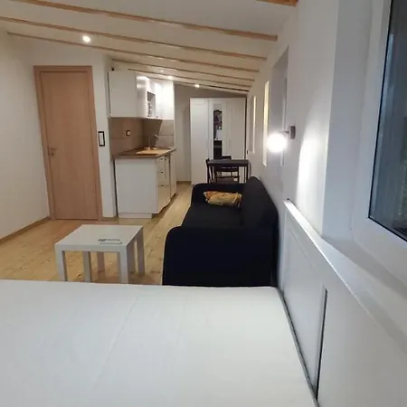 Island Ada Apartment Belgrad Exterior foto